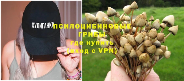 дмт Верея